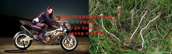 кокс Вязники