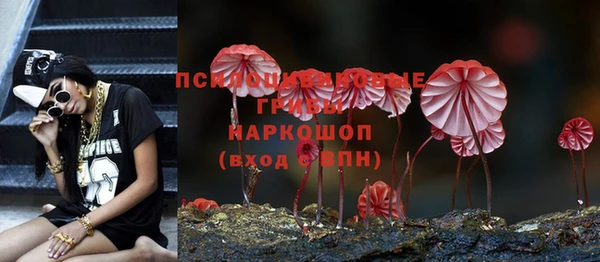 jwh Вяземский
